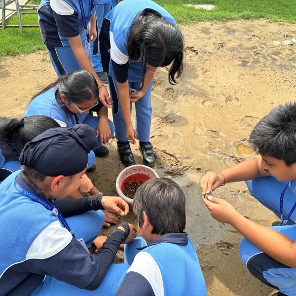 The CARE Project