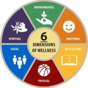 6 Dimensions of Wellness