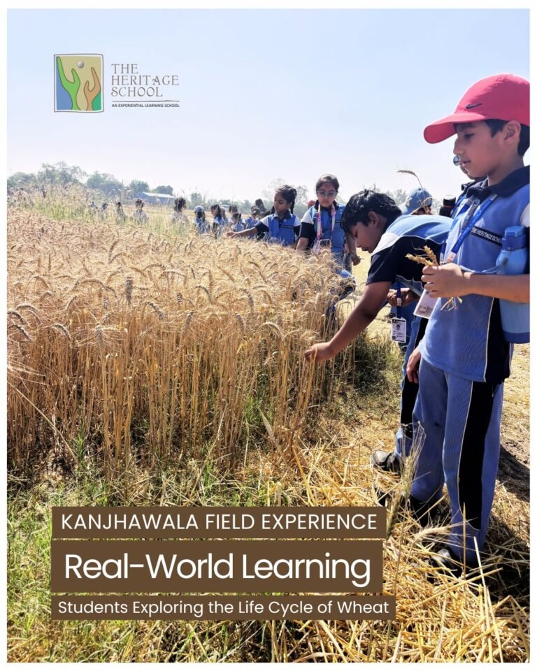 Kanjhawala Field Experience: Students Exploring the Life Cycle of Wheat - 1