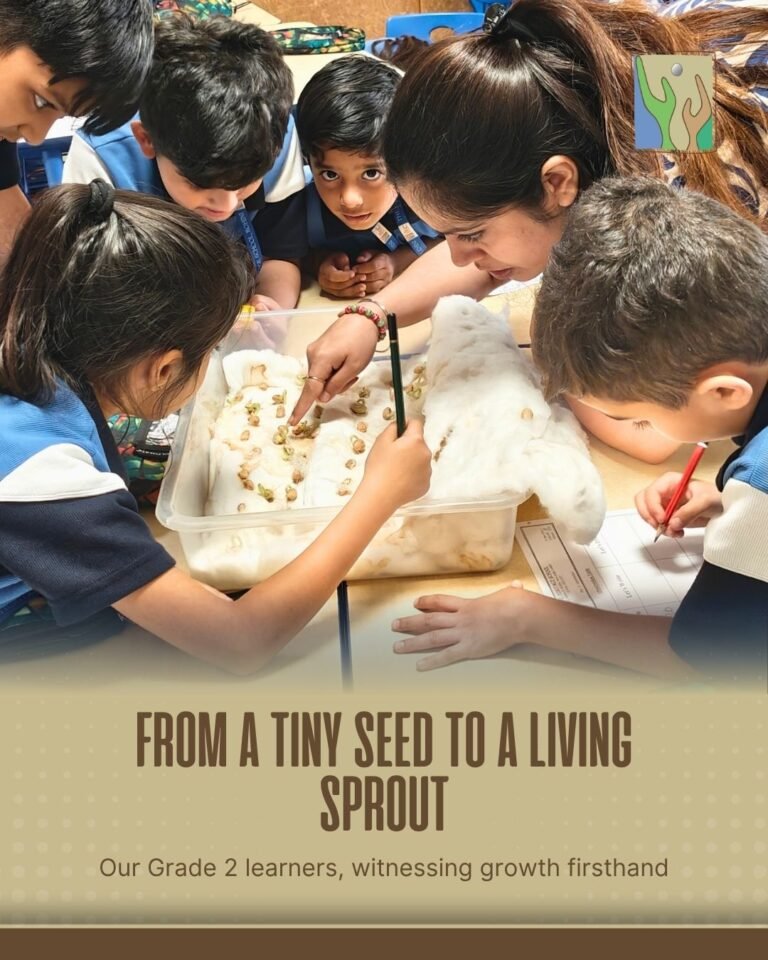 From a tiny seed to a living sprout, our Grade 2 learners, witnessing growth firsthand. - photo 1