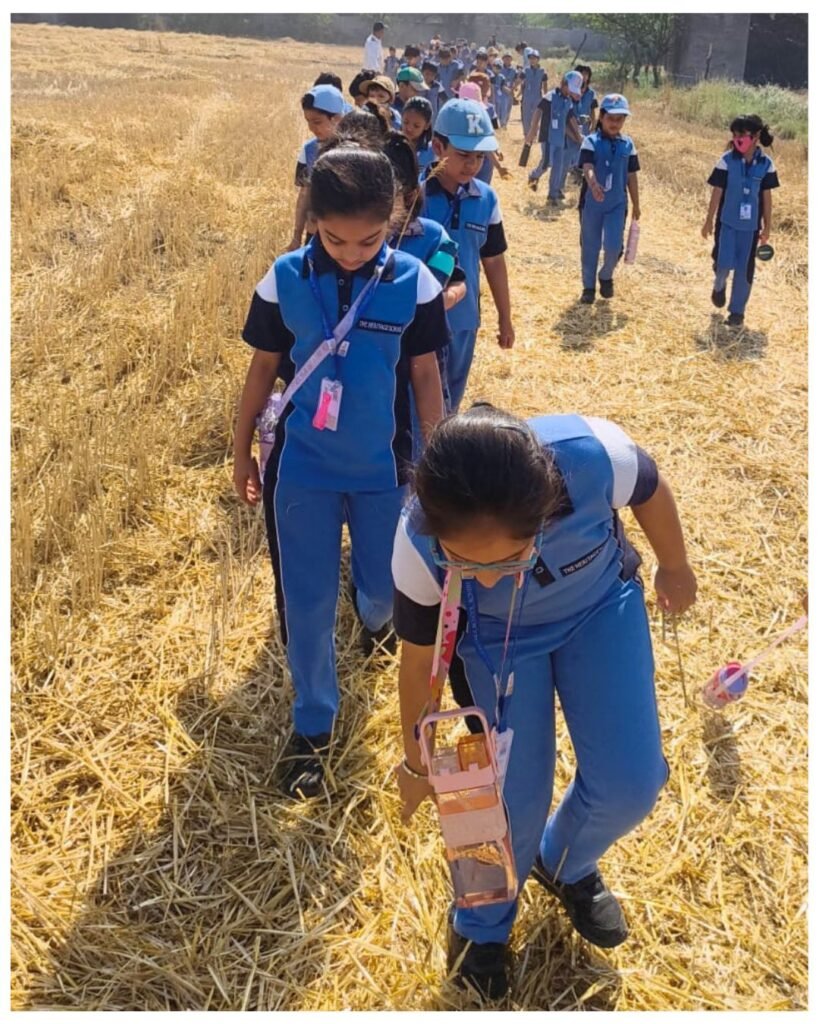 Kanjhawala Field Experience: Students Exploring the Life Cycle of Wheat - 2