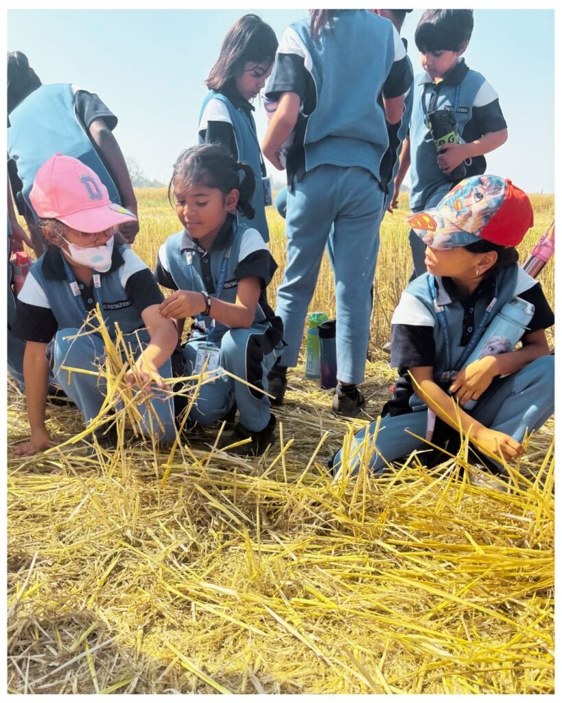 Kanjhawala Field Experience: Students Exploring the Life Cycle of Wheat - 3