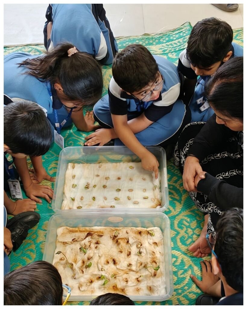 From a tiny seed to a living sprout, our Grade 2 learners, witnessing growth firsthand. - photo 3