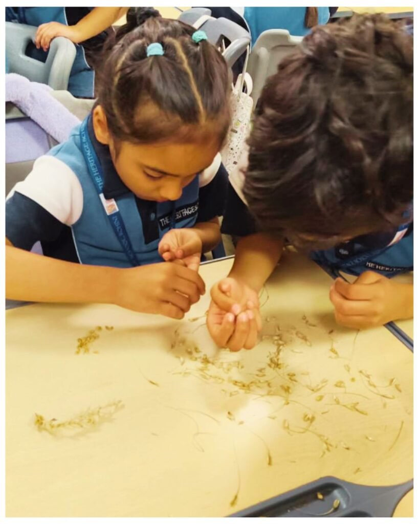 Kanjhawala Field Experience: Students Exploring the Life Cycle of Wheat - 4