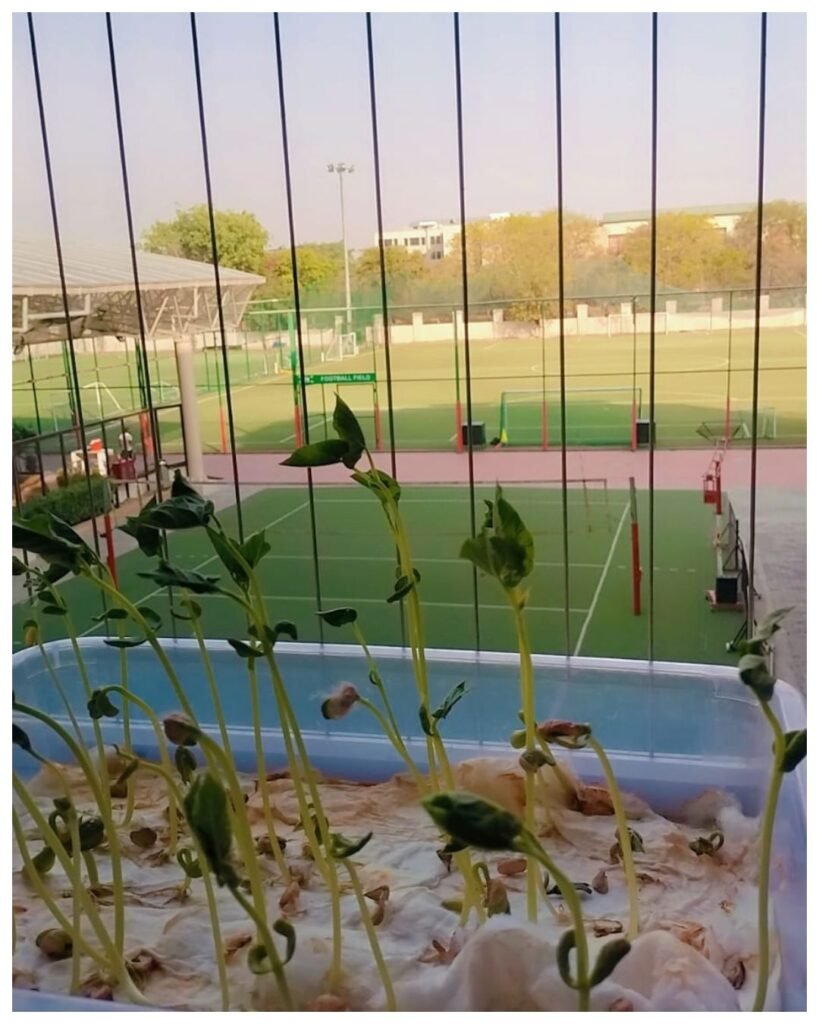 From a tiny seed to a living sprout, our Grade 2 learners, witnessing growth firsthand. - photo 5