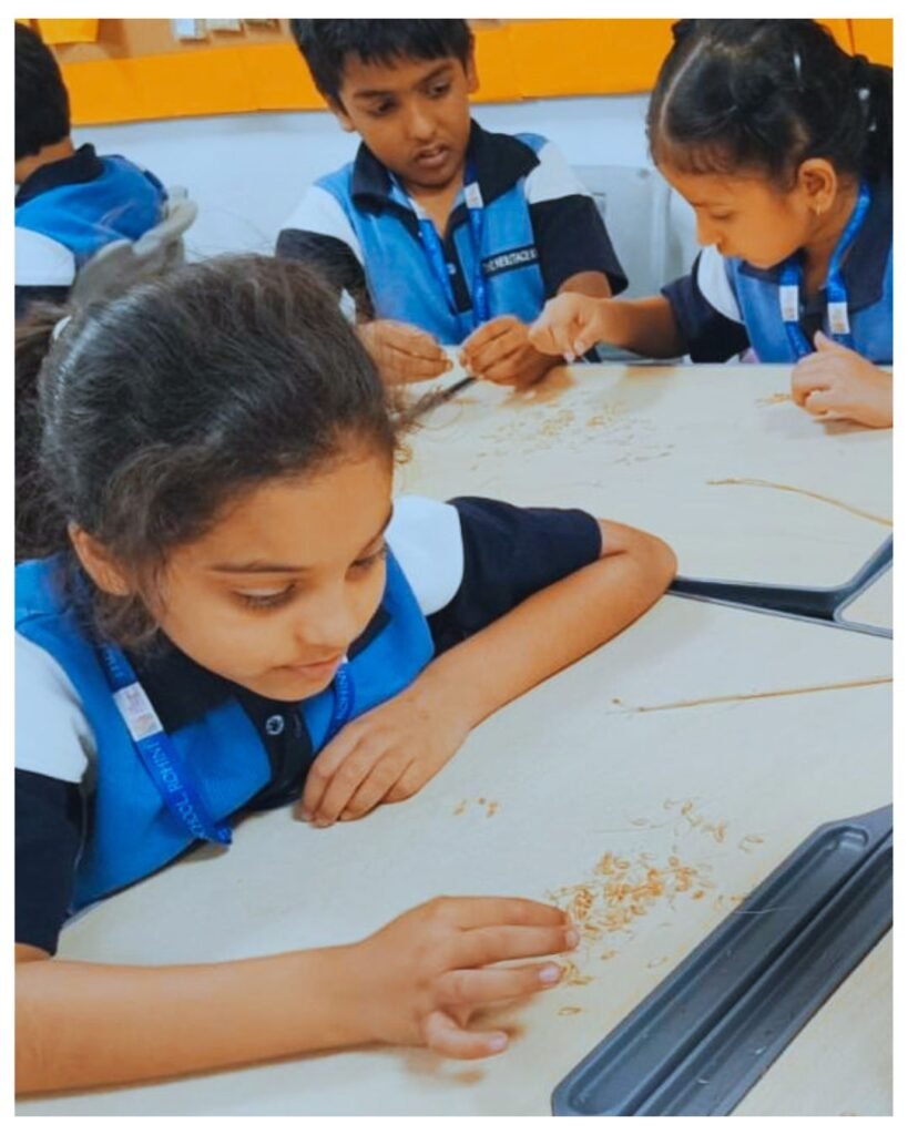 Kanjhawala Field Experience: Students Exploring the Life Cycle of Wheat - 6